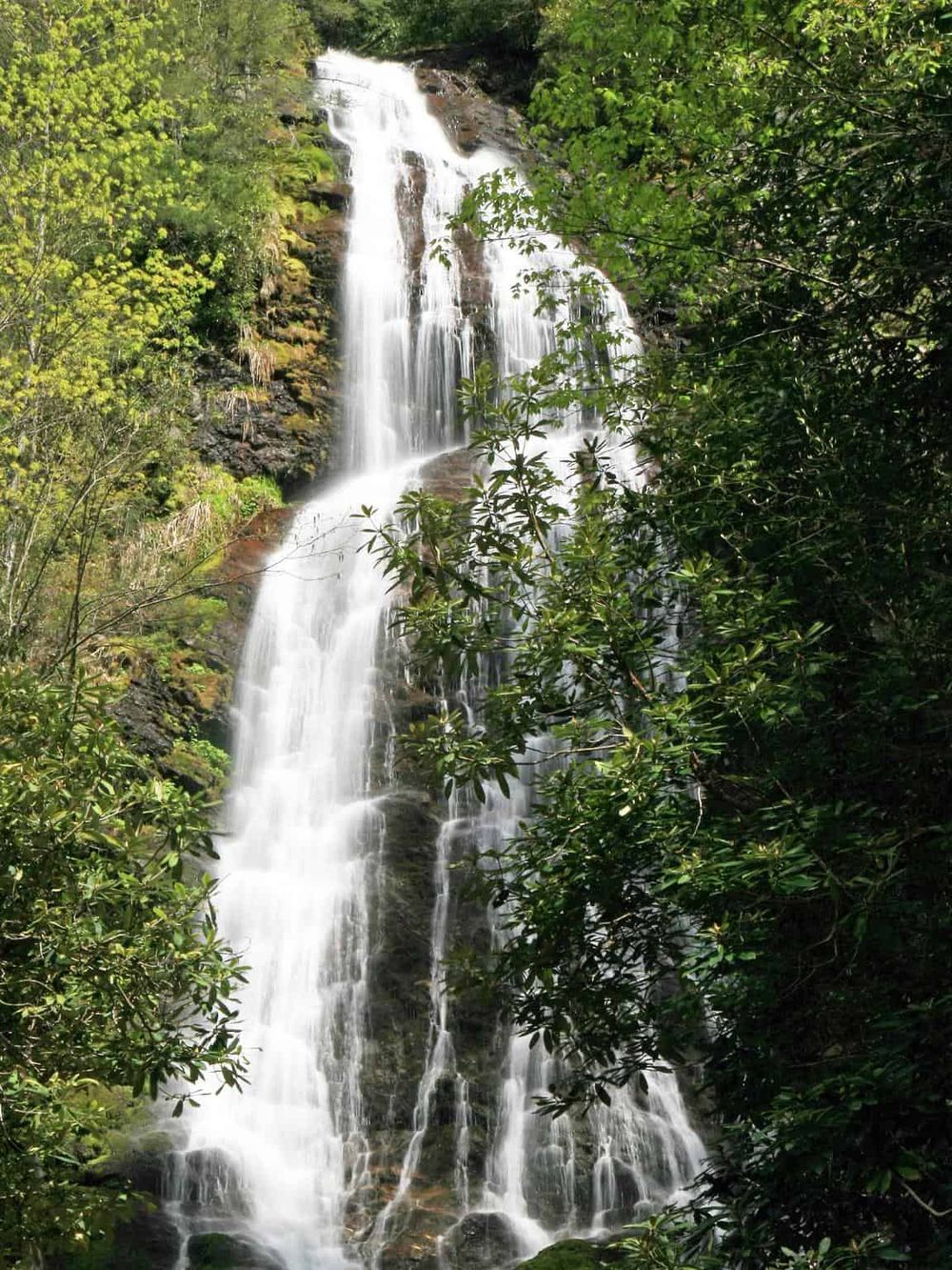 Serene waterfall surrounded by lush green trees in a nature setting.