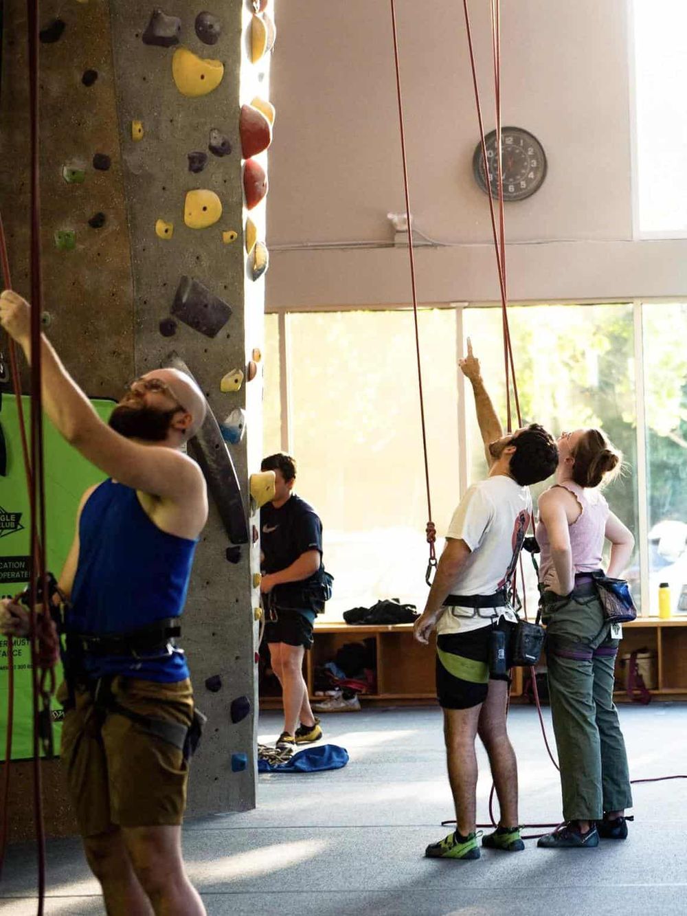 Climbing gym with people belaying, indoor rock climbing, fitness, and adventure activities.