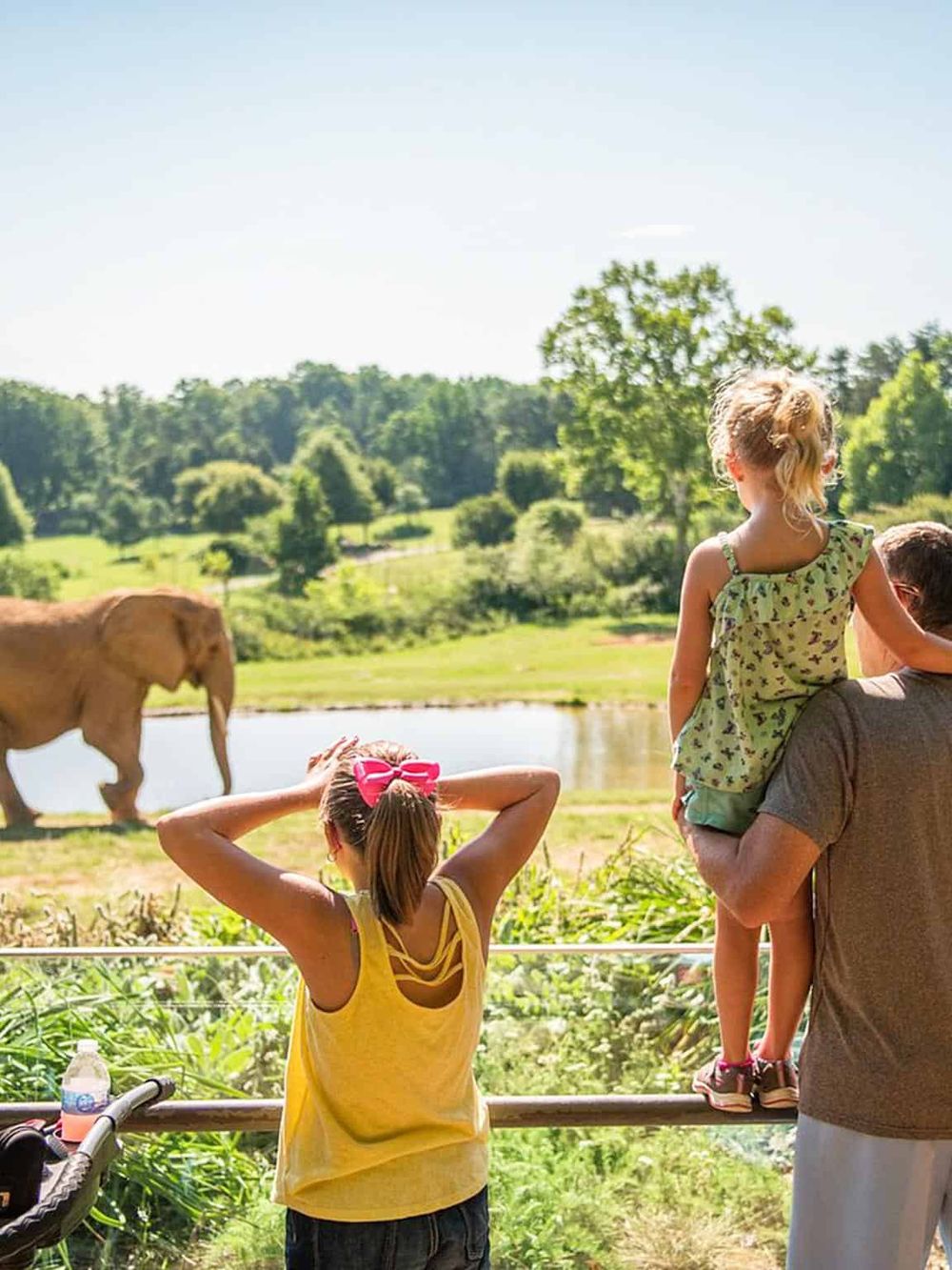 Elephant sanctuary visit with family, wildlife observation, educational zoo experience, exploring nature and animal conservation efforts.