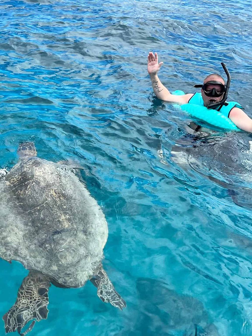 Swimmer snorkeling with sea turtle, exploring marine life, underwater adventure, QuestForDirections tourism.