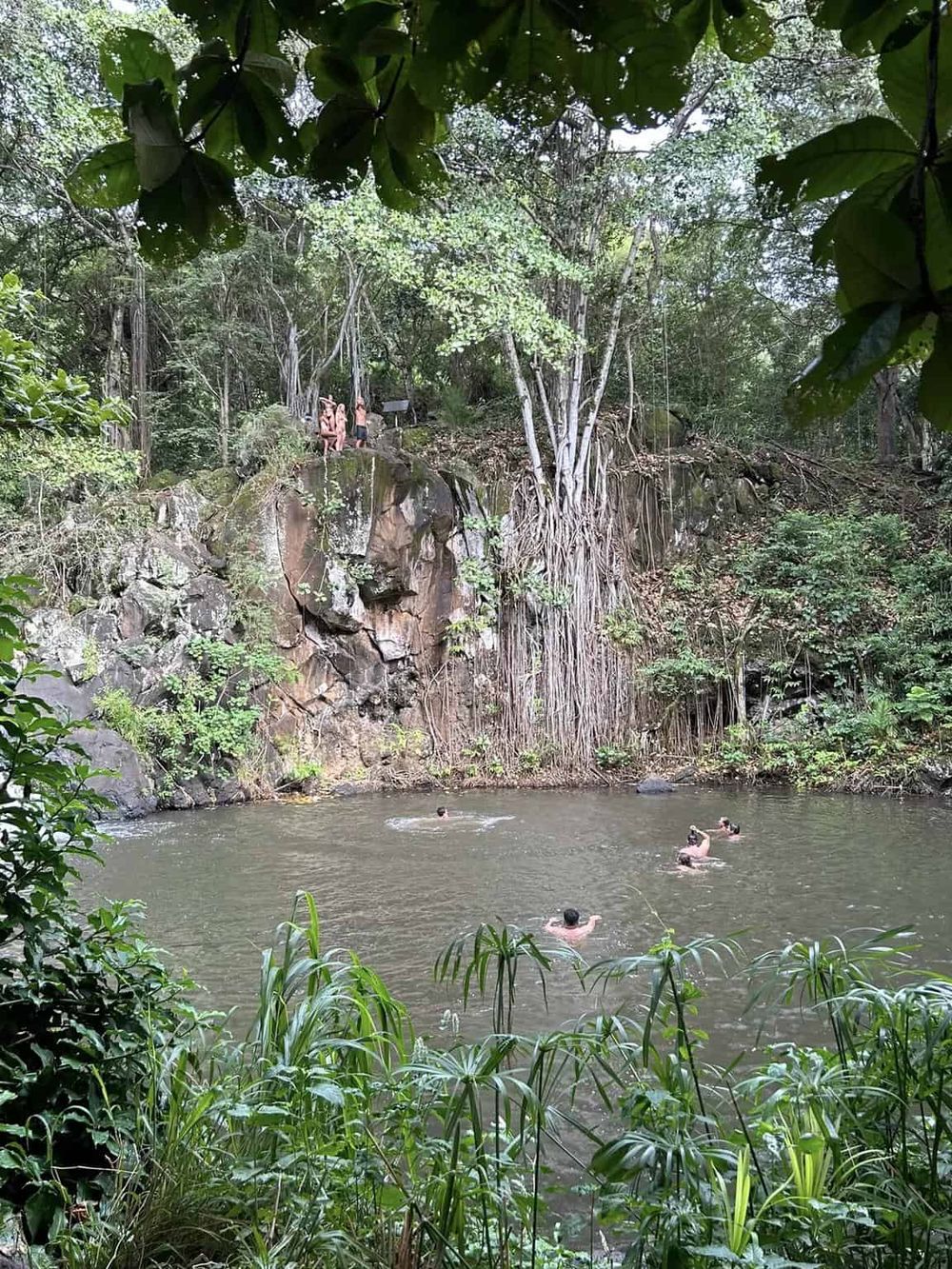 Swimmers enjoy a natural waterhole surrounded by lush jungle greenery and towering rocks.