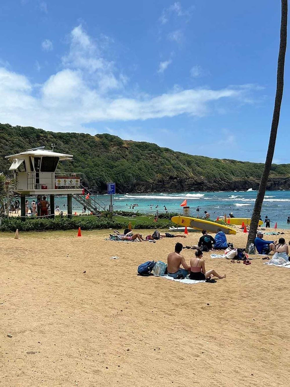 Enjoying sunny days at QuestForDirections beach with surfing, sunbathing, and scenic ocean views.
