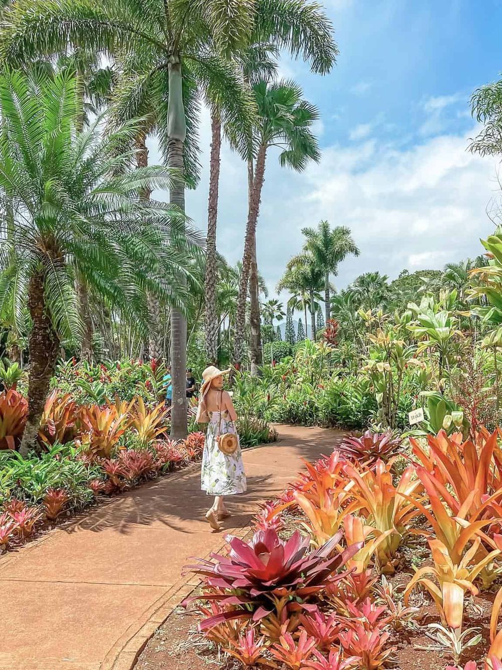 Tropical garden pathway with lush palm trees and vibrant plants, ideal for travel exploration.