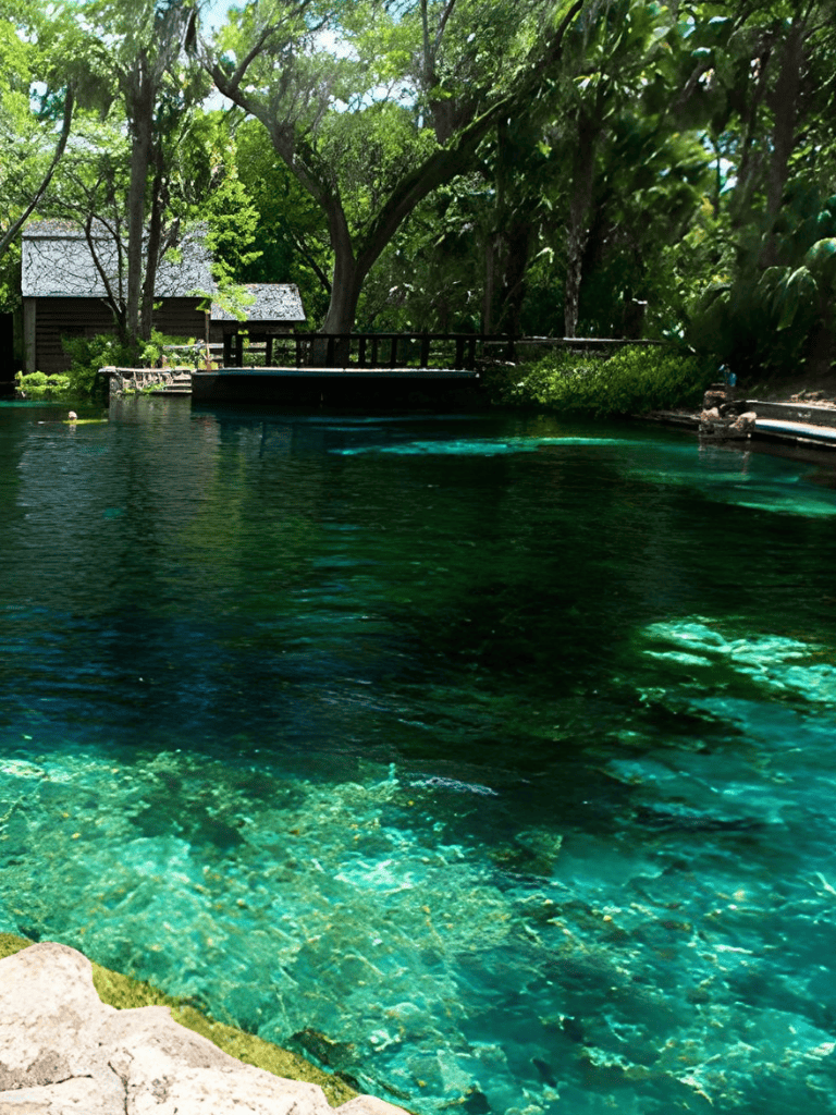 Serene natural pool surrounded by lush green trees, perfect for relaxation and outdoor adventures.