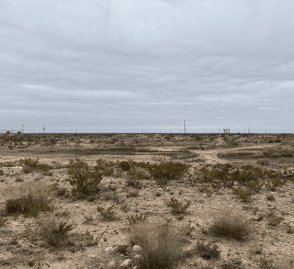 Rolling desert landscape with sparse vegetation, overcast sky at QuestForDirections location.