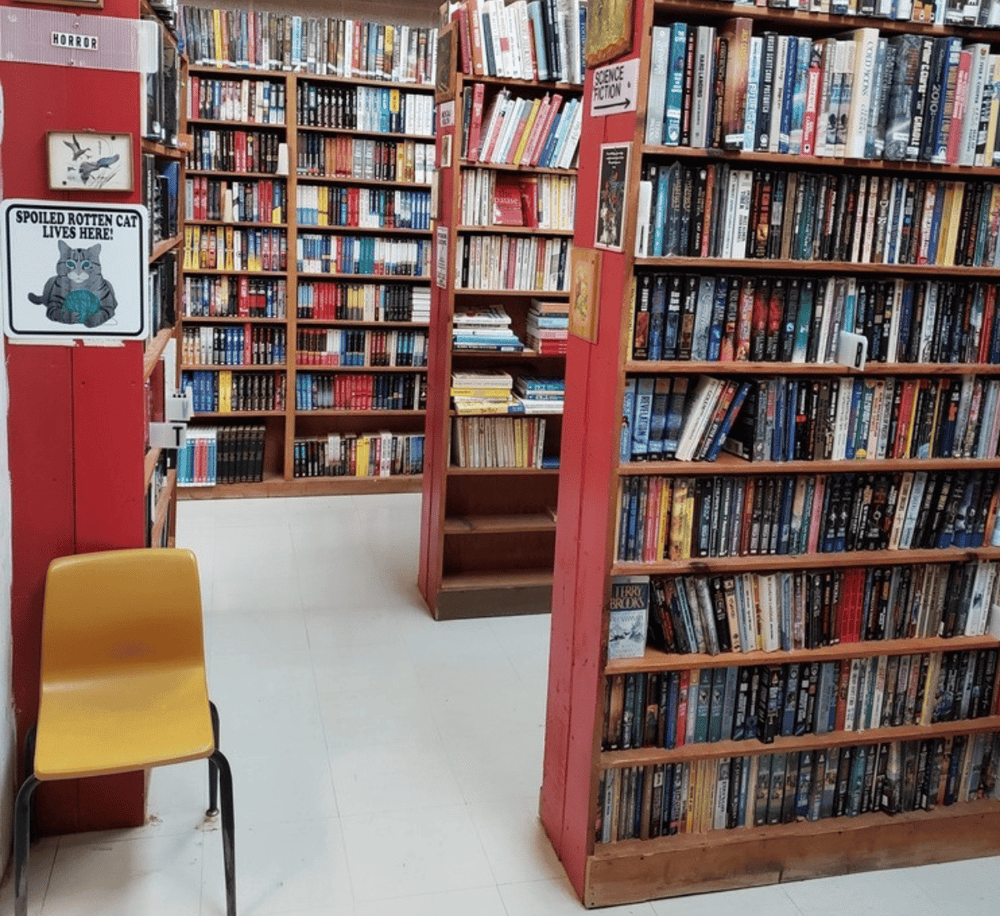 1. Wide shot of a bookstore filled with books on shelves, cozy reading area, and a quirky cat sign.