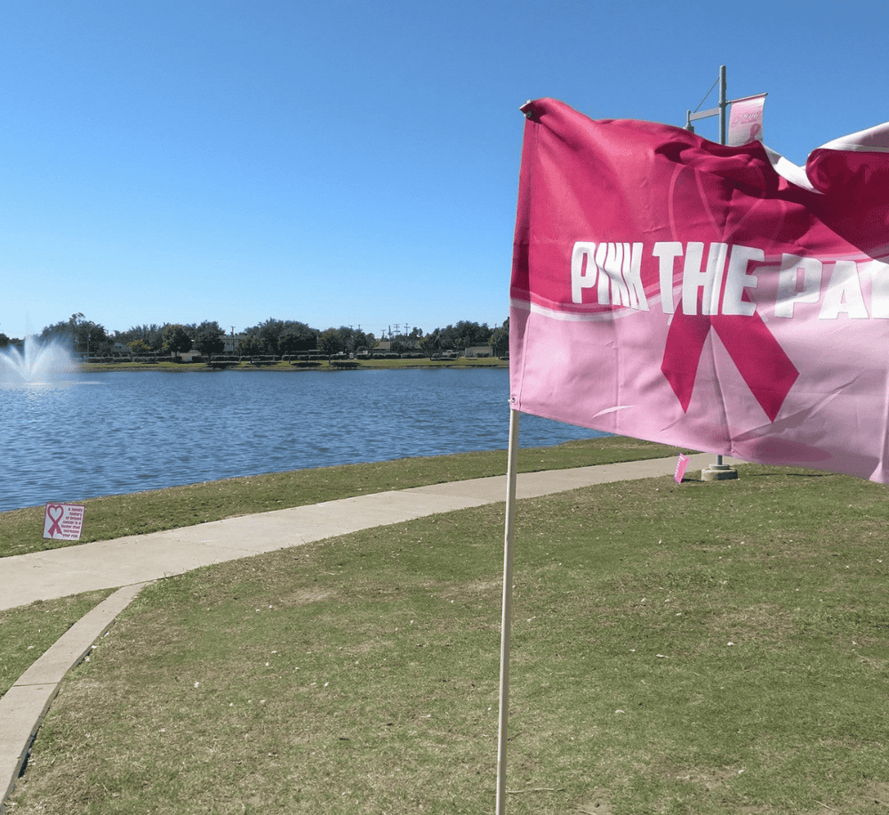 Pink the Park breast cancer awareness flag waves by a lake on a sunny day.