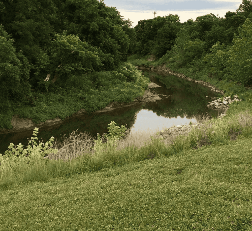 Serene river surrounded by lush green trees and grass, ideal for nature exploration and outdoor adventures.