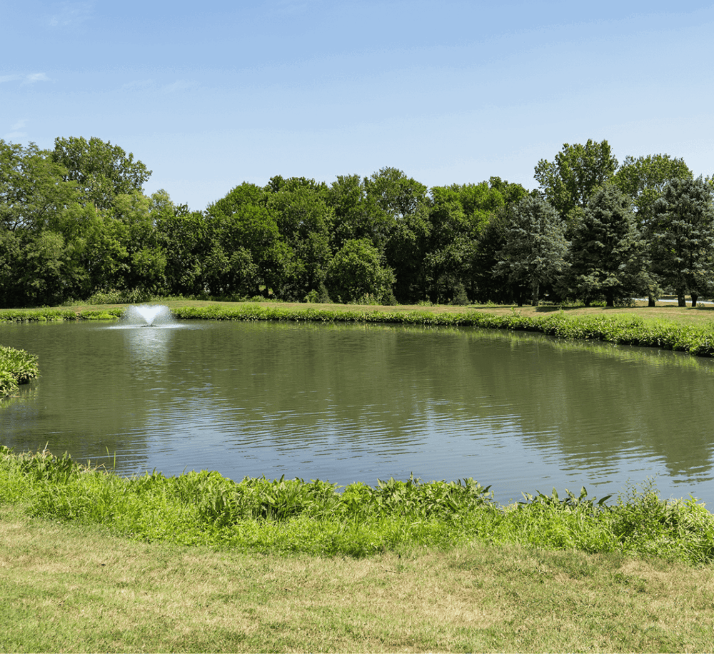 Serene pond surrounded by lush green trees with a water fountain, ideal for outdoor recreation and nature walks.