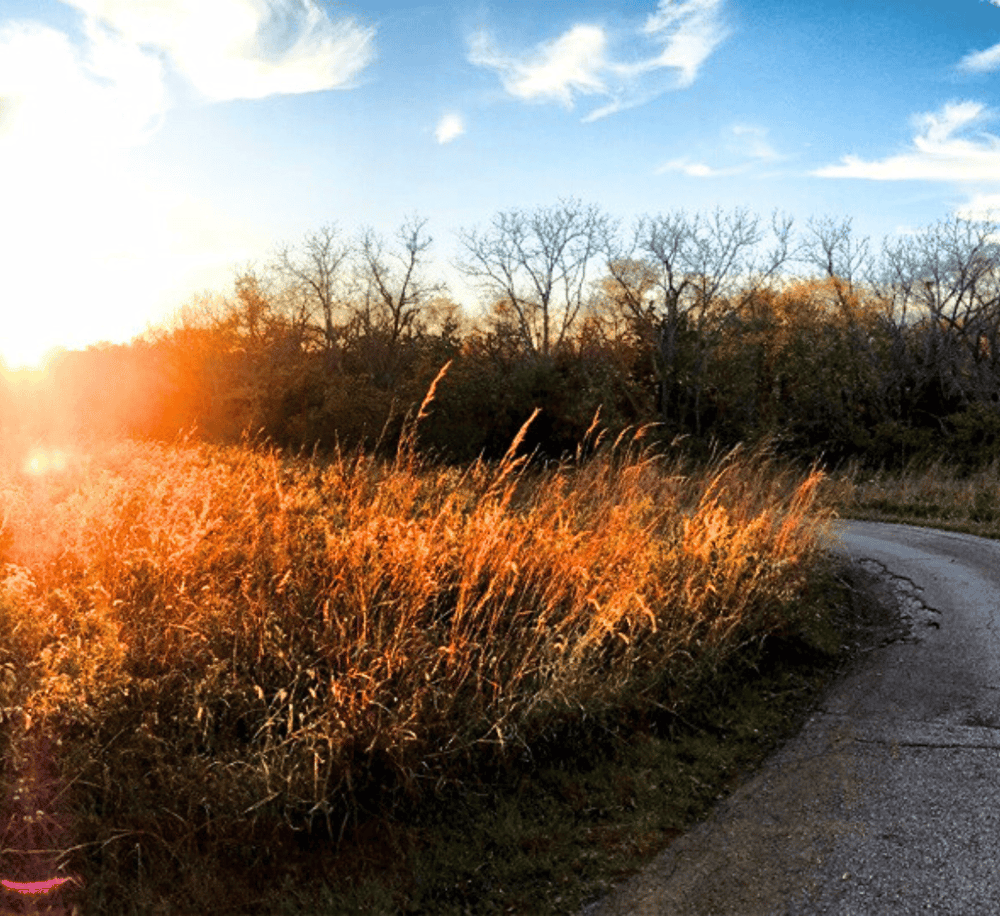 Sunset over country road with tall grass, scenic rural landscape for outdoor adventure SEO.
