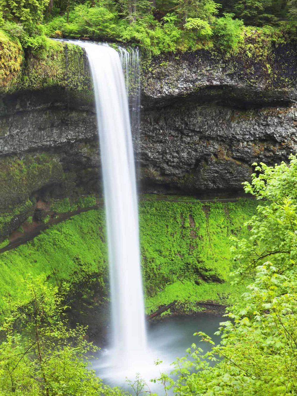 Breathtaking waterfall in lush green forest, showcasing nature's scenic beauty and tranquility.