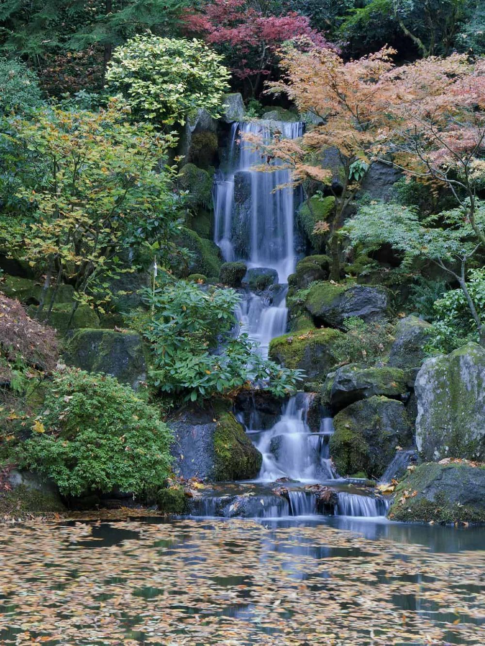 Serene waterfall flowing through lush autumn foliage in a tranquil natural landscape.