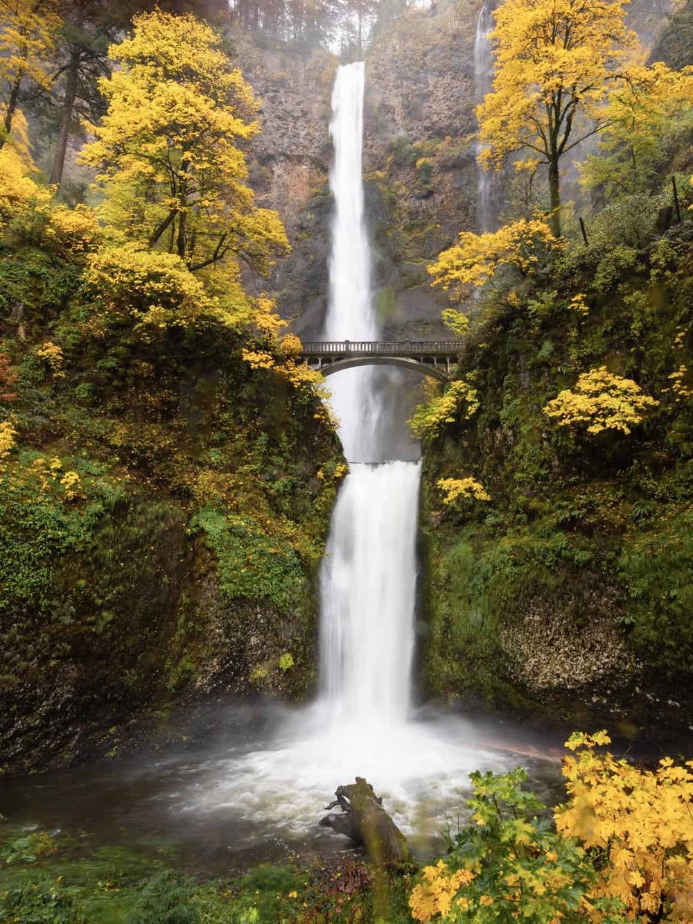 Majestic Multnomah Falls surrounded by colorful autumn trees in Oregon, a top natural scenic destination.