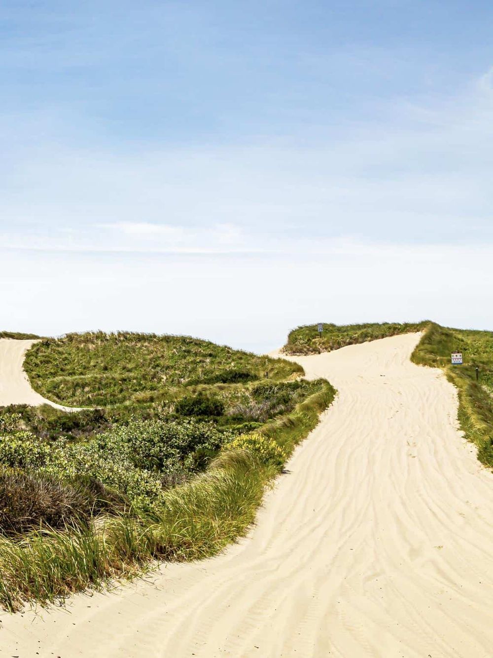 Sand dune road with greenery and clear sky, ideal for nature walks and scenic drives.