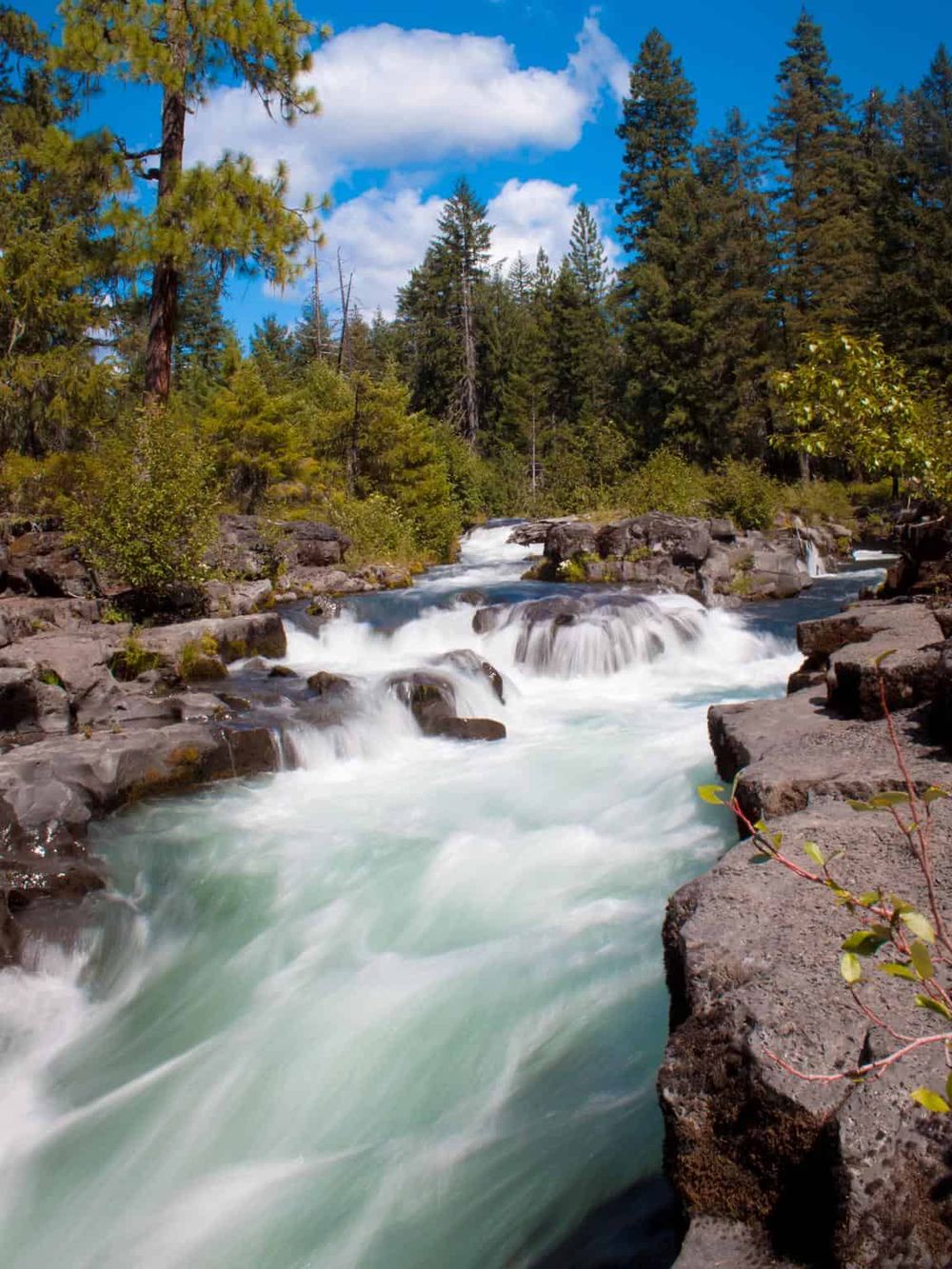 Pristine river flowing through forested landscape with waterfalls and lush greenery, ideal for outdoor adventures and nature exploration.