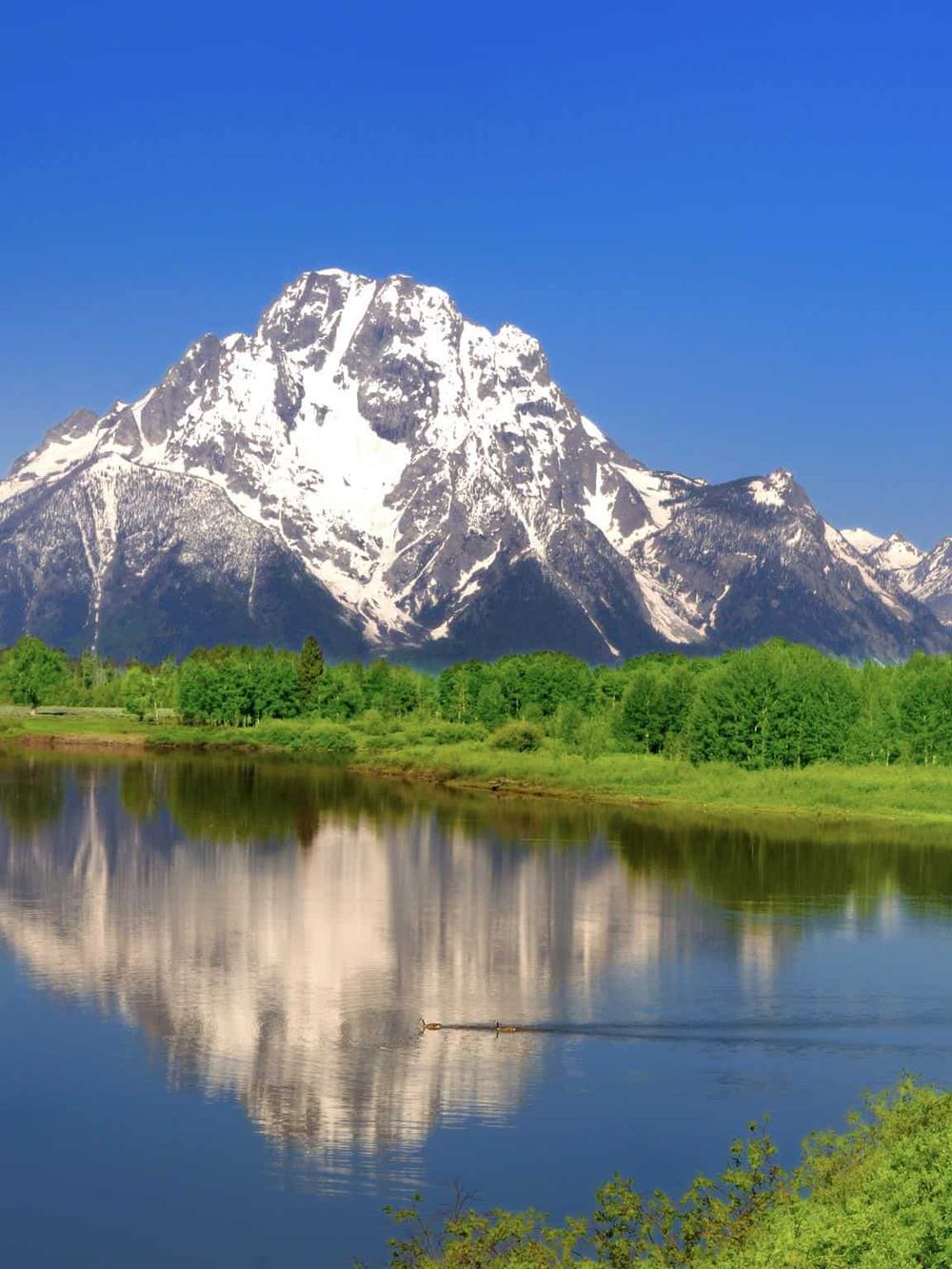 Majestic snow-capped mountain reflected in peaceful lake with lush green trees and vibrant blue sky.