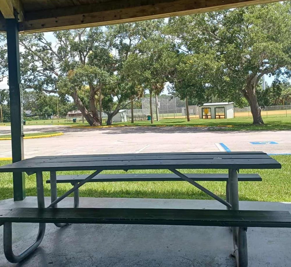 Empty park picnic table with trees and sports fields in the background, perfect for outdoor recreation and family activities.