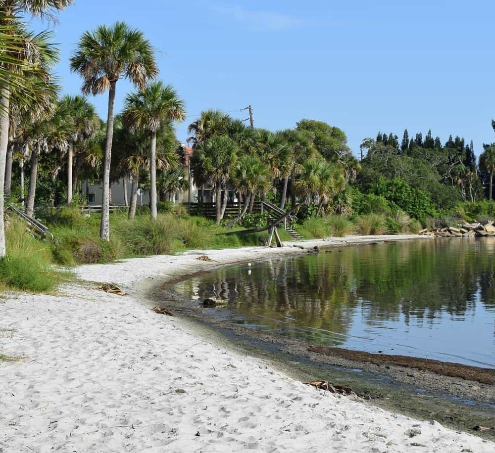 Tranquil beach with palm trees, shoreline, and clear water, ideal for seaside relaxation and coastal getaways.