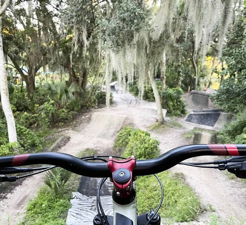 Sunset bike ride through lush, shaded trail with moss-covered trees and scenic park scenery.