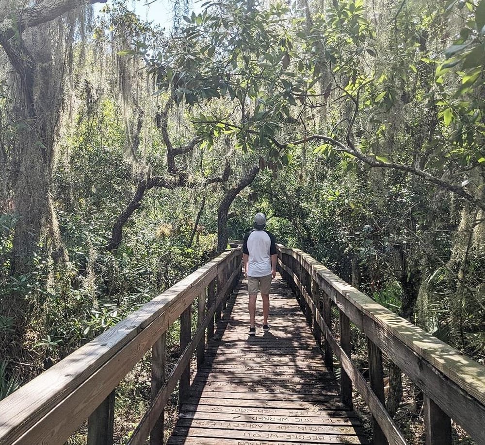 Tranquil forest walkway for adventure and nature exploration at QuestForDirections.