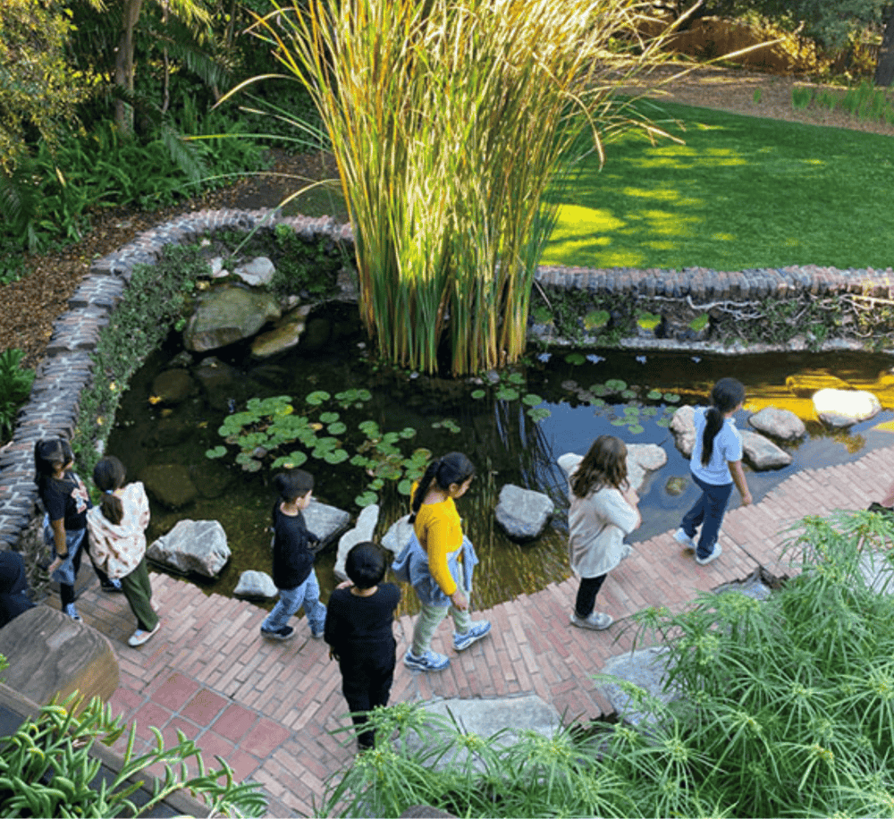 Enjoying nature and outdoor activities at QuestForDirections botanical garden.