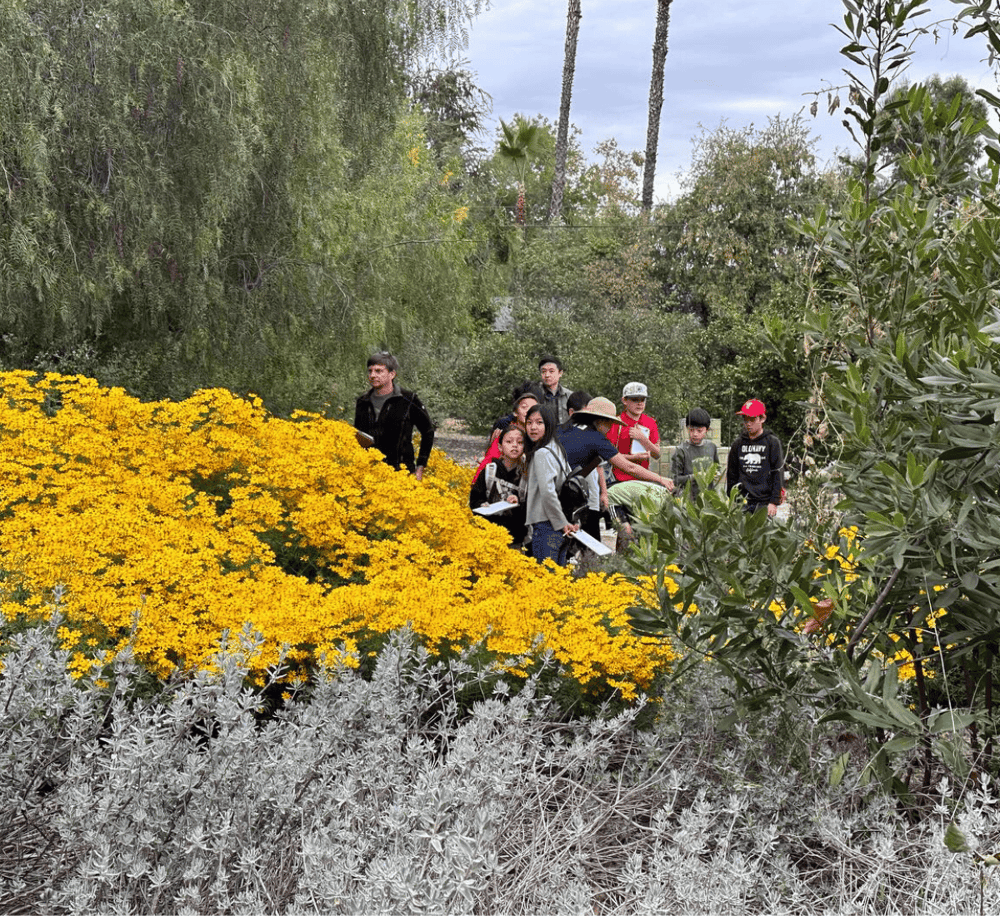 People on nature walk during guided outdoor tour at QuestForDirections.