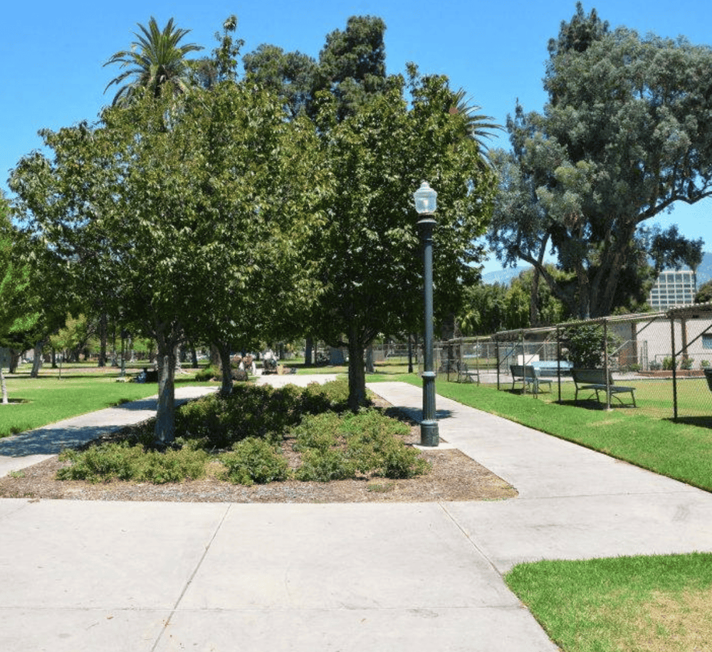 Lush park with trees, walking paths, and benches under a blue sky, perfect for outdoor relaxation and recreation.