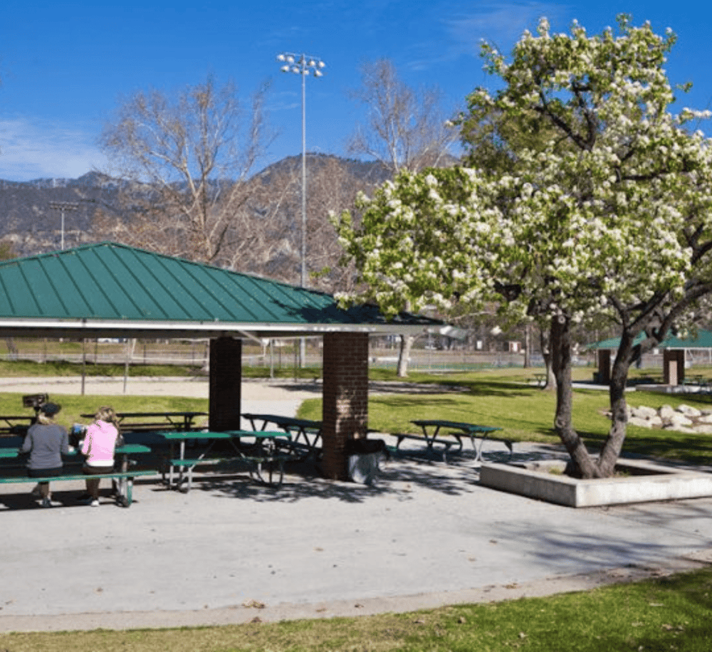 Bright park with blooming tree, picnic tables, and scenic mountain background | QuestForDirections.