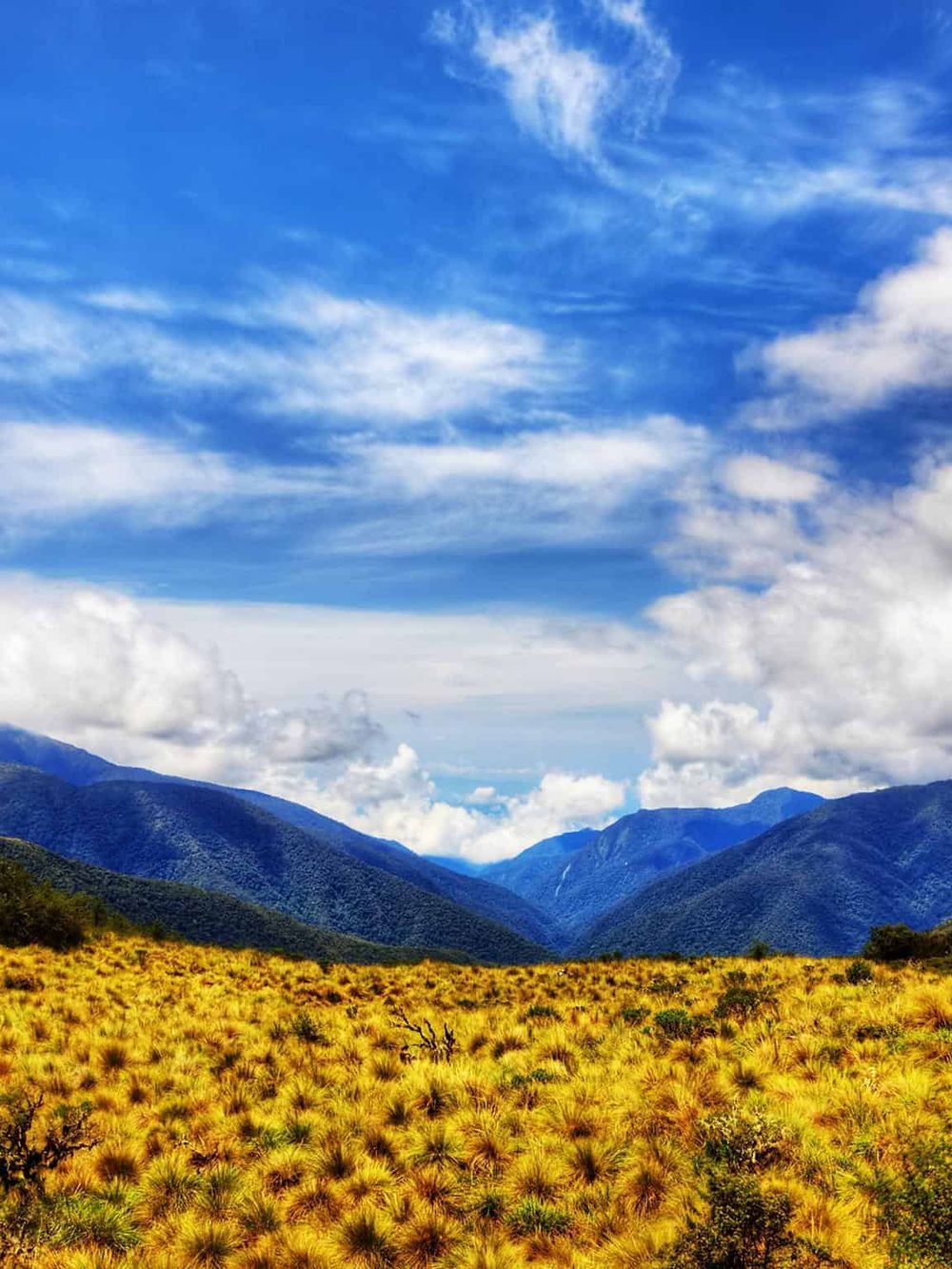 Vast mountain landscape with blue sky, clouds, and yellow desert plants, ideal for outdoor adventure and travel planning keywords.
