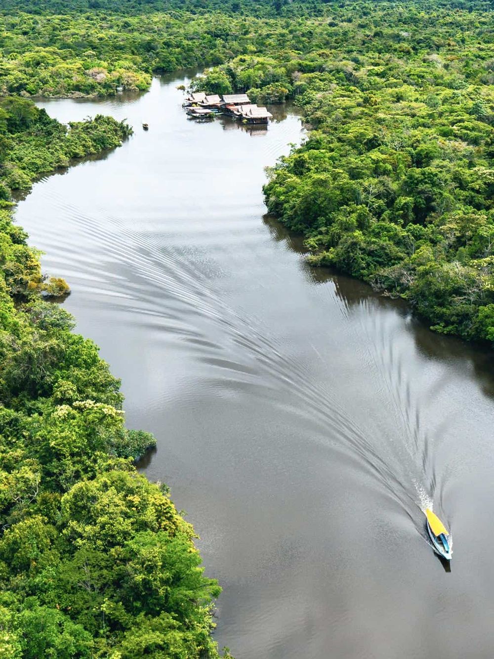 Vibrant river landscape surrounded by lush green jungle for eco-tourism adventures.