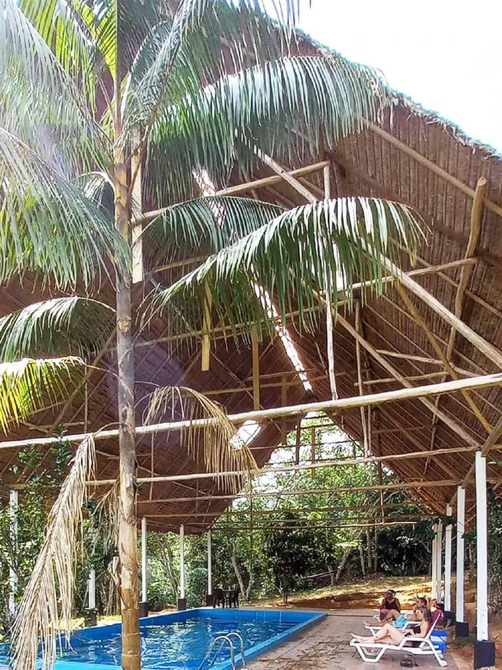 Lush tropical palm trees and bamboo cabana over swimming pool, relaxing outdoor resort scene.