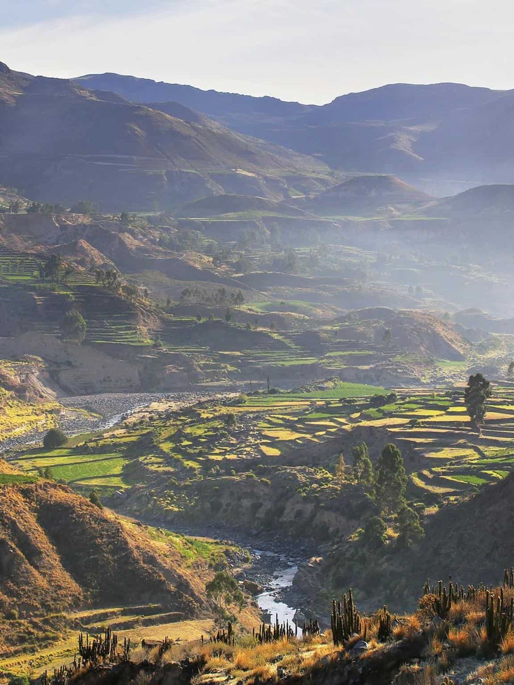 Vast Andes mountain landscape with terraced farmland and river in a scenic rural setting.