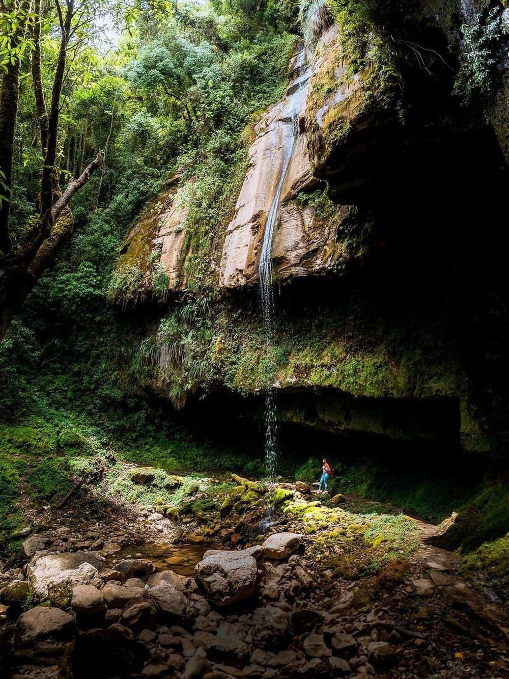 Dense forest with small waterfall and explorer in canyon, scenic outdoor adventure site.