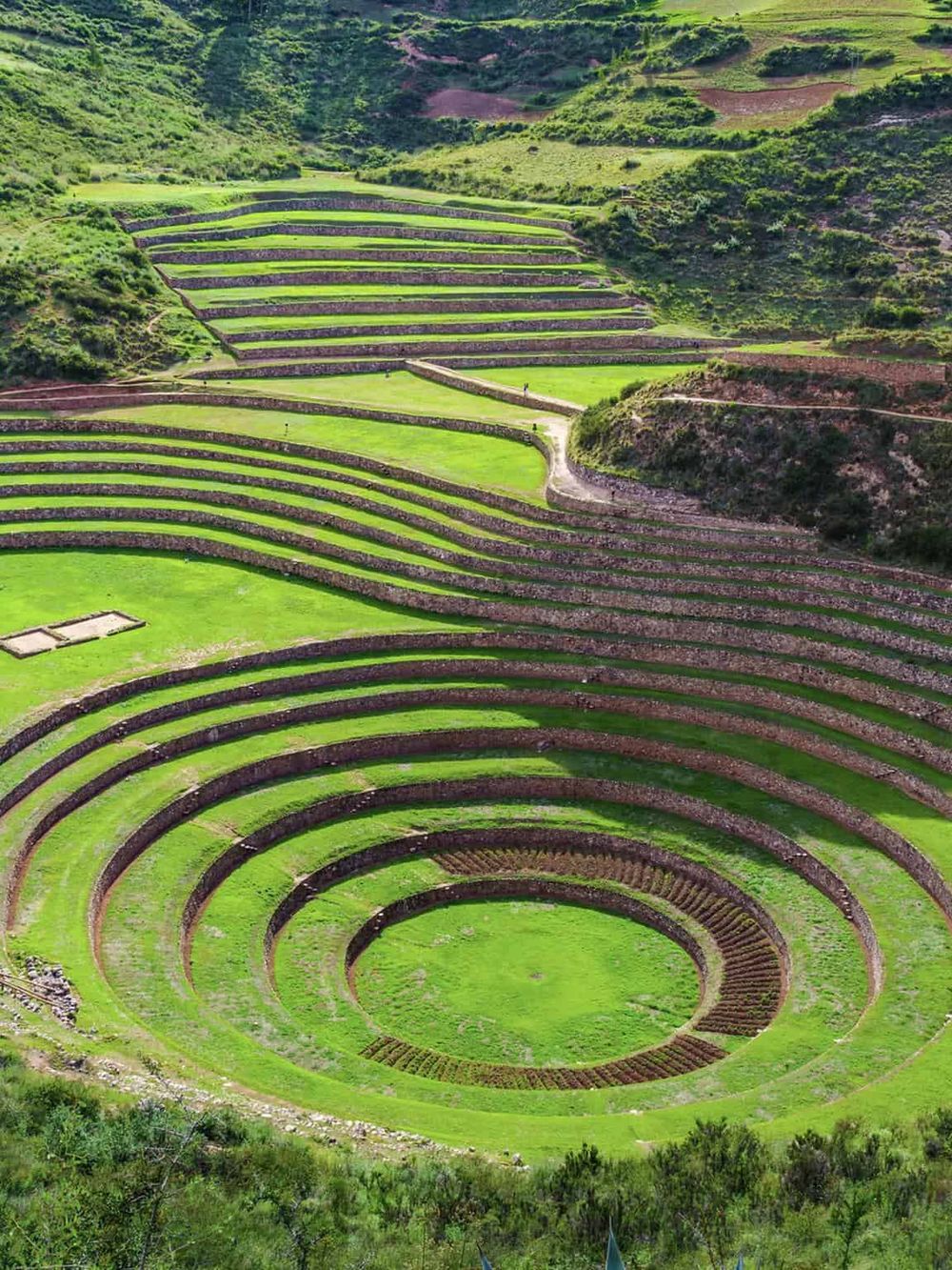 Stepped agricultural terraces on a lush green hillside, showcasing scenic vineyard or crop cultivation landscape.