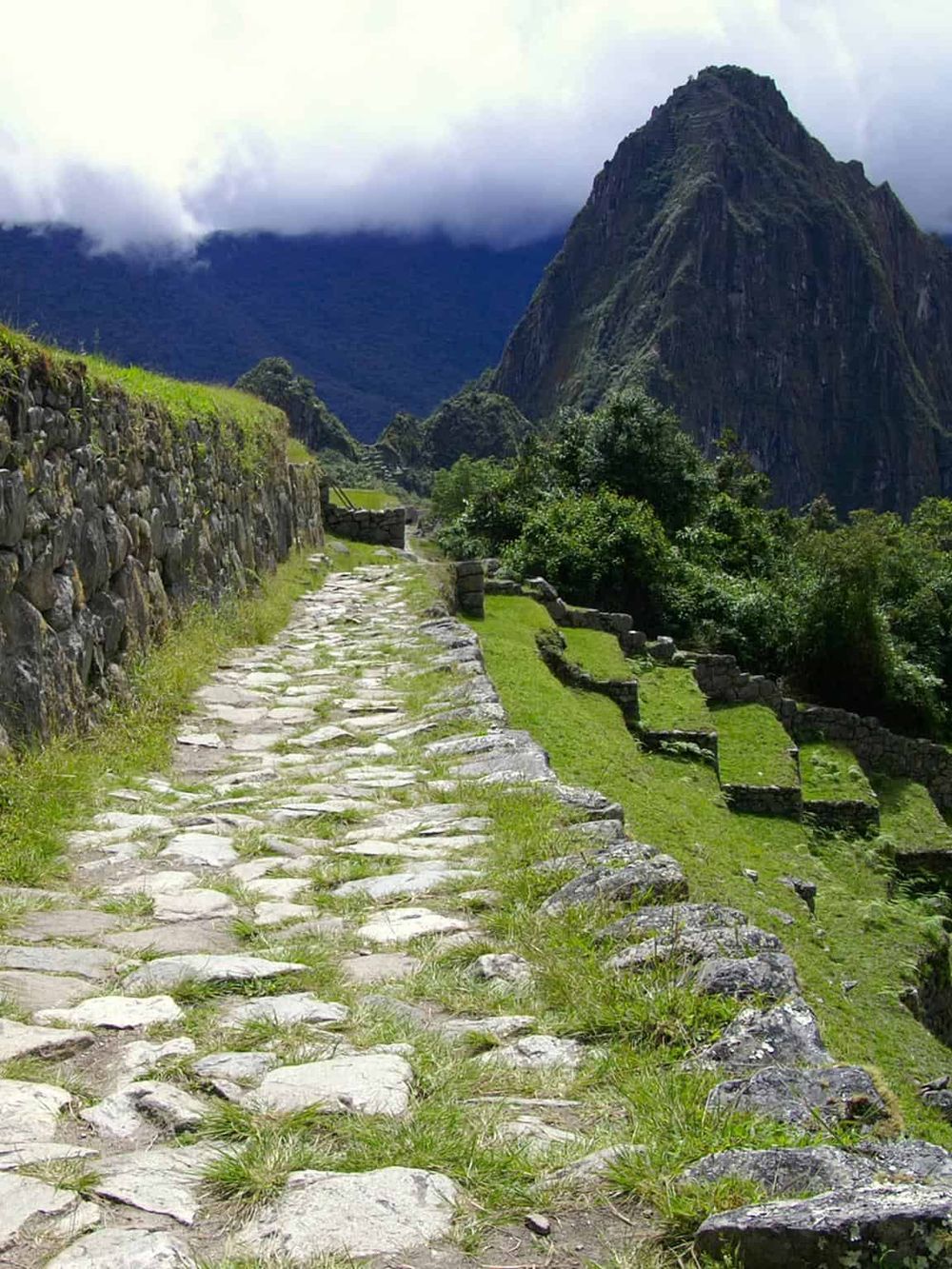 Ancient Incan stone path at Machu Picchu with lush greenery and mountainous backdrop.