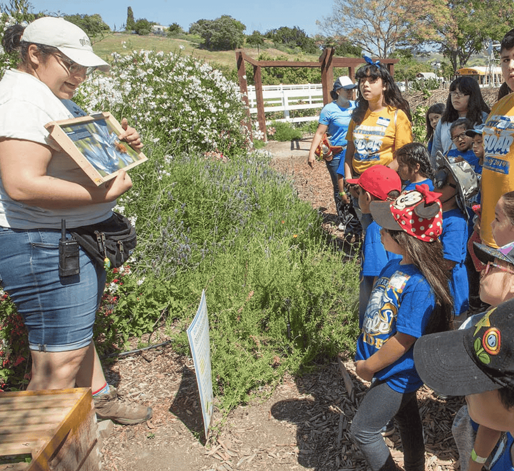 Educational outdoor gardening activity for kids at QuestForDirections. Guided visit with a teacher and young learners.