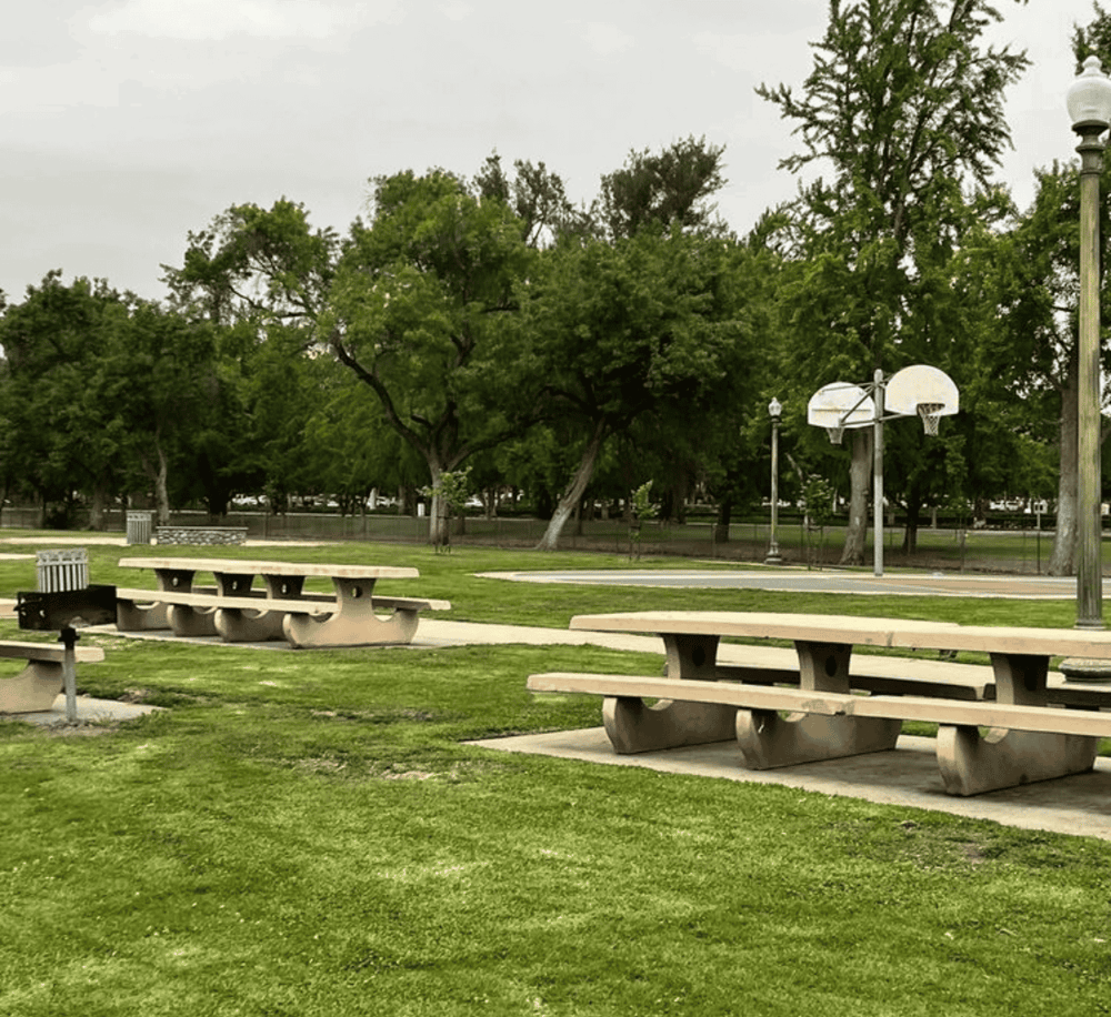 Benches in park with basketball hoops and green trees.