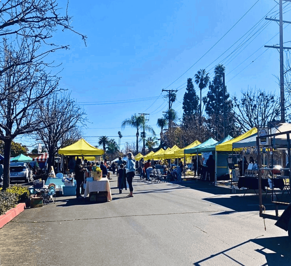 Colorful outdoor market with vendor tents and shoppers, sunny day with palm trees and clear blue sky.