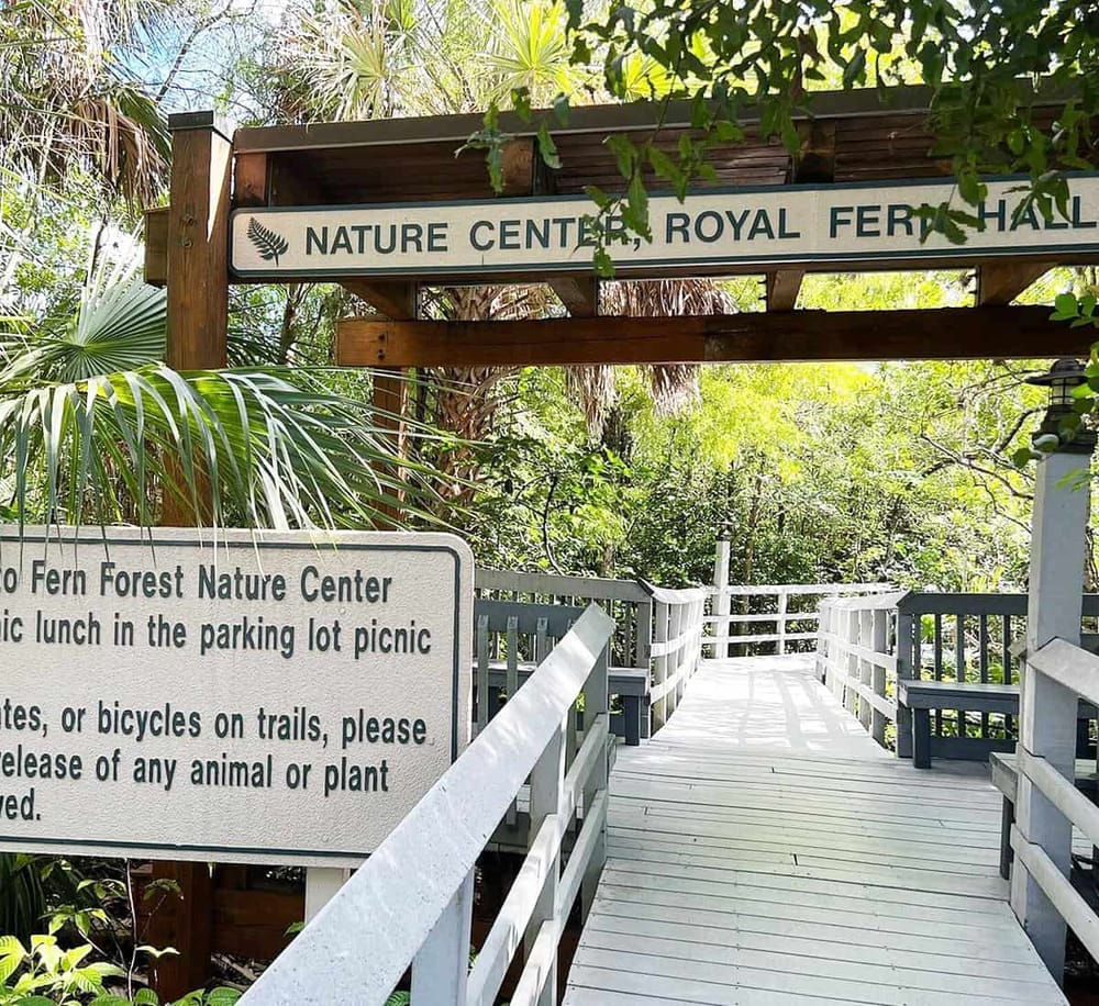 Lush forest pathway at Nature Center Royal Fern Hall for eco-friendly outdoor activities.