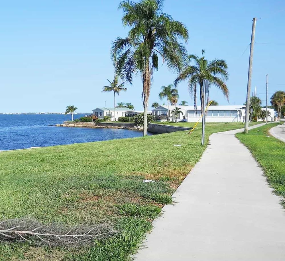 Waterfront neighborhood with palm trees and mobile homes by the water in a sunny coastal setting.