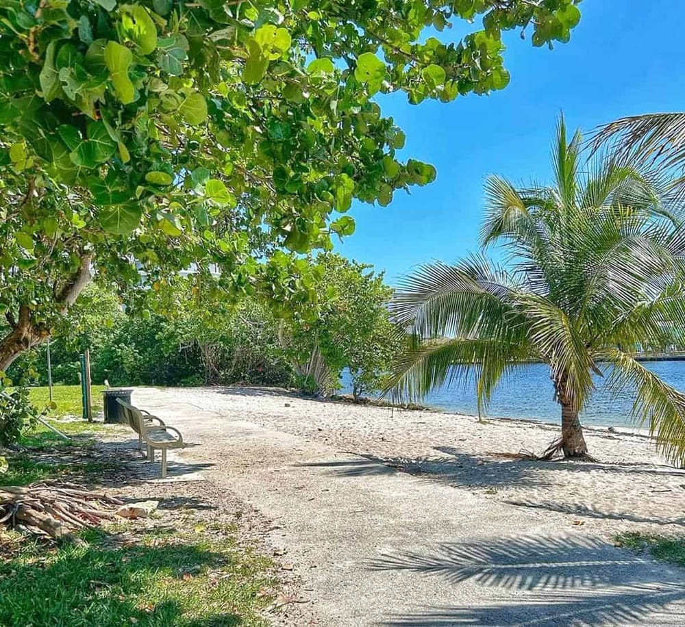 Tranquil beach scene with palm trees and lush greenery, perfect for relaxing seaside vacations.