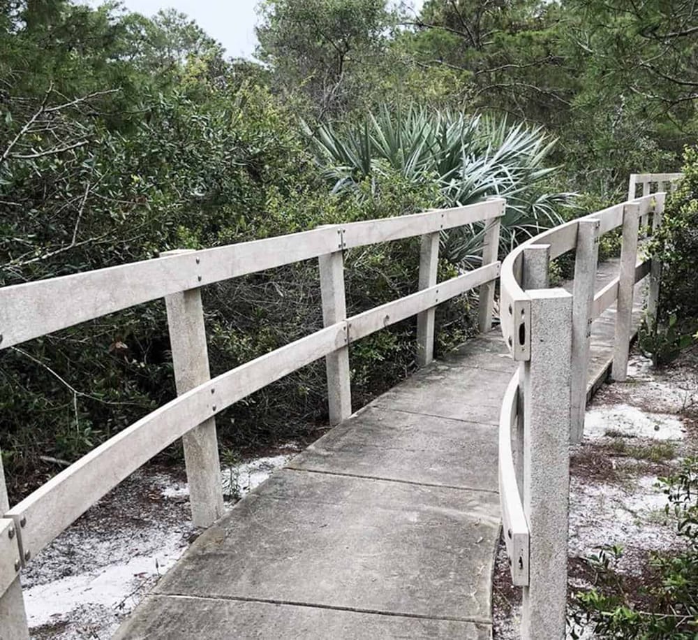 1. Wooden pathway railings along a nature trail surrounded by dense greenery and plants.