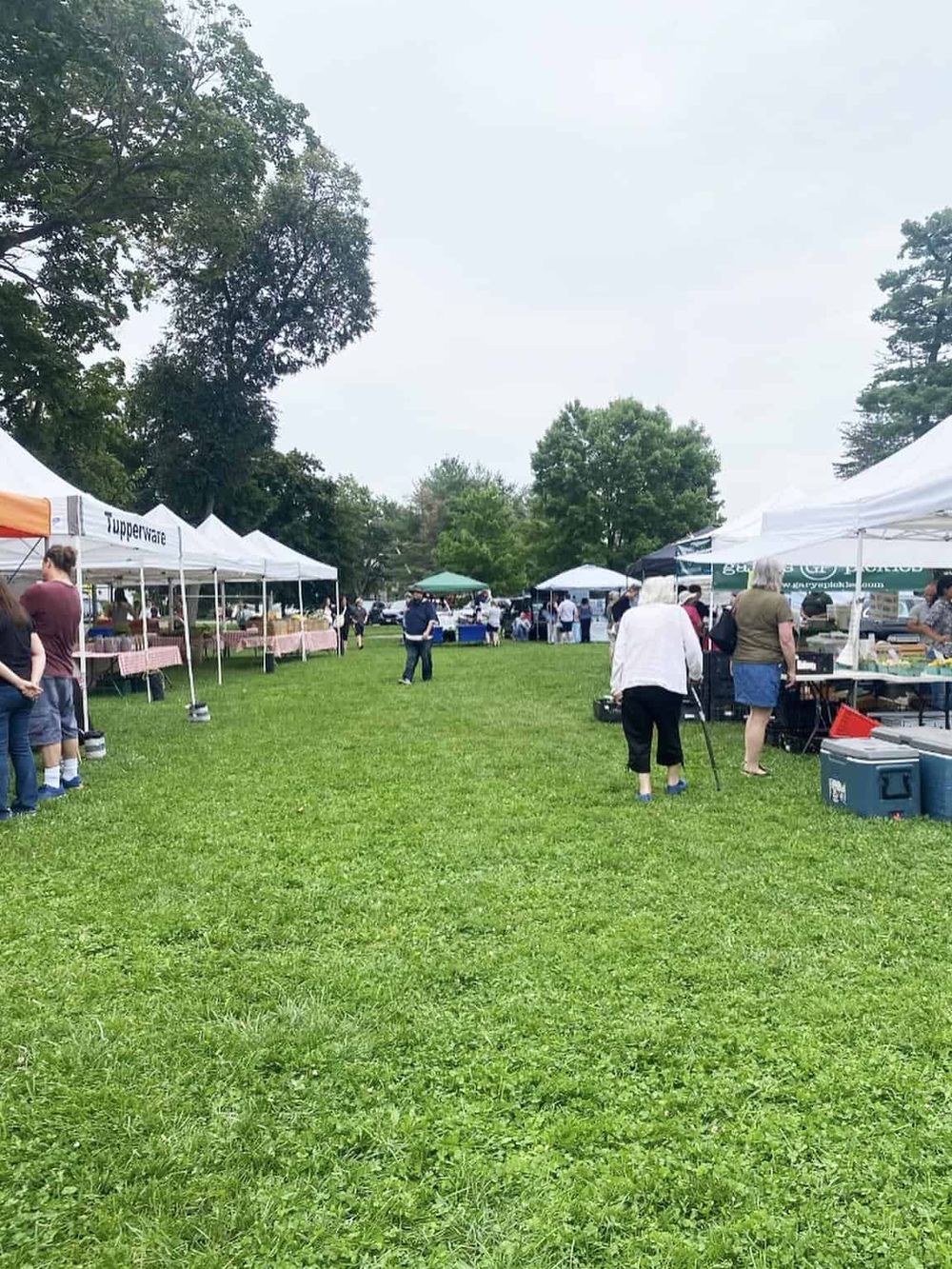 Vendors and visitors at an outdoor farmers market, surrounded by green grass and tall trees on a cloudy day.