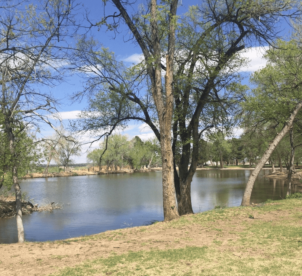 Calm river surrounded by lush green trees under blue sky in park.