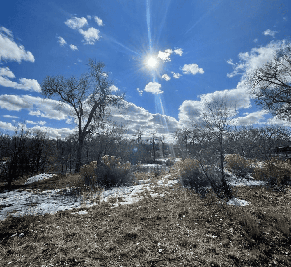 Bright winter landscape with leafless trees under a sunny blue sky, sunlight filtering through clouds, and patches of snow on the ground.