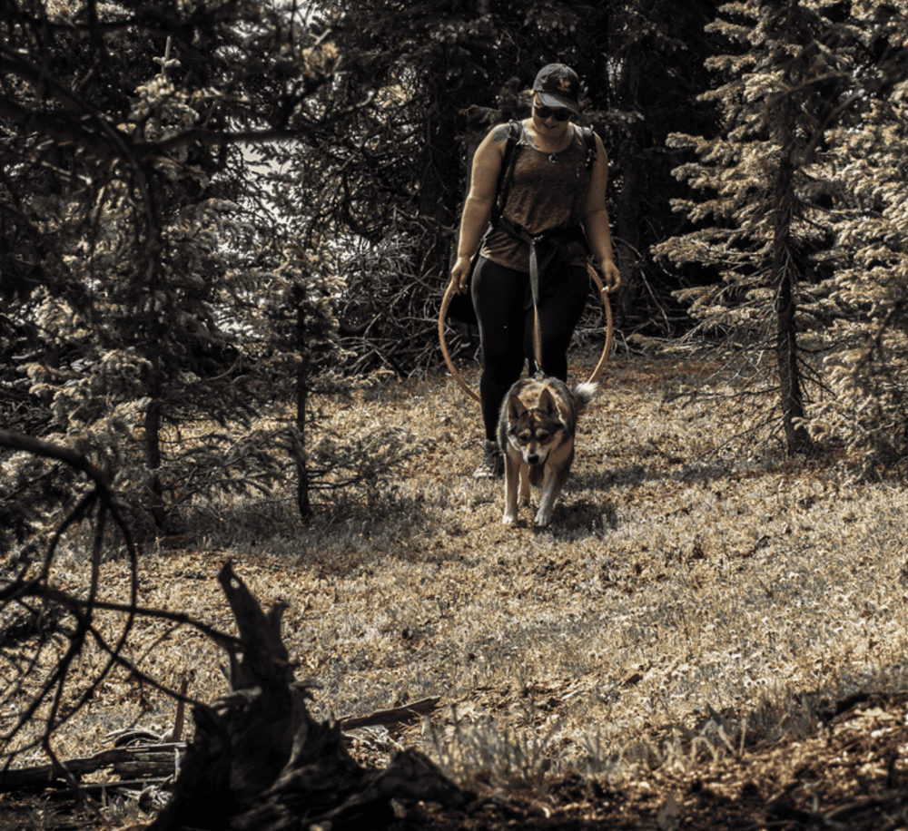 A woman hiking in a forest with her dog on a leash, exploring nature trails and outdoor adventure activities.