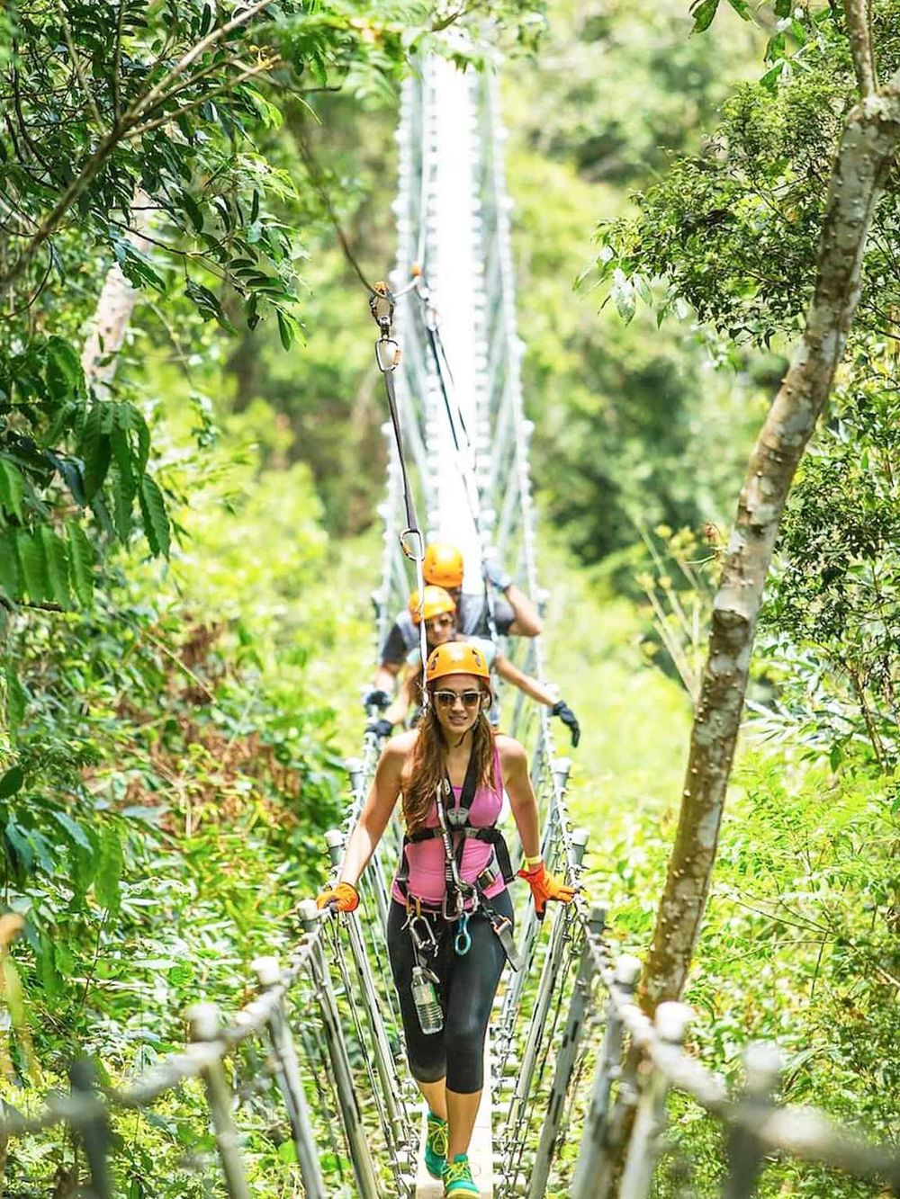 Exciting treetop adventure on a suspension bridge in lush forest canopy.