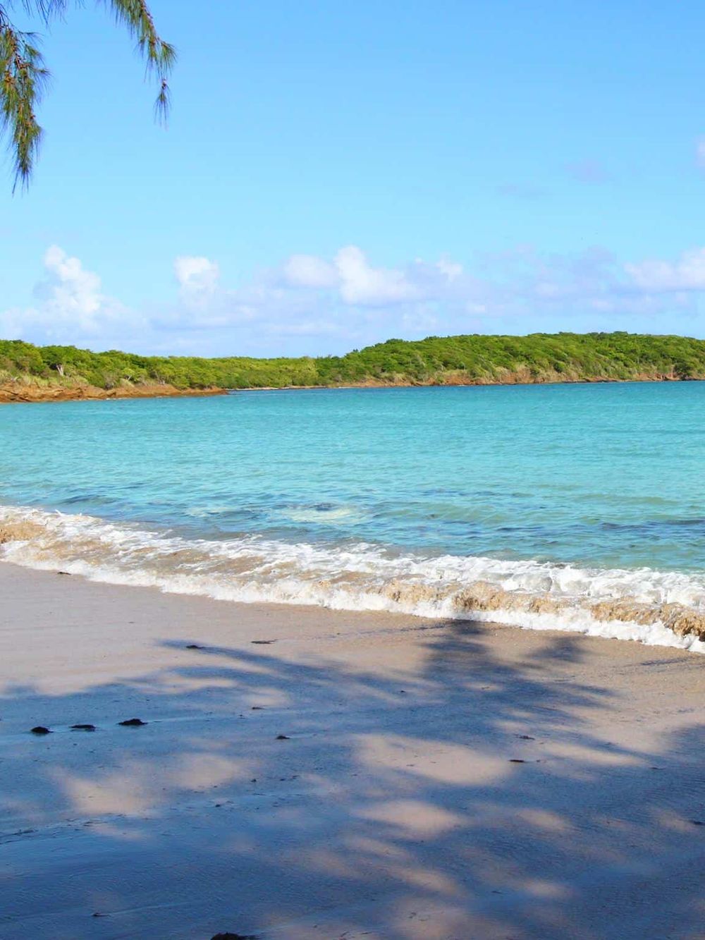 Relaxing beach with turquoise waters and white sand, perfect for coastal travel adventures.