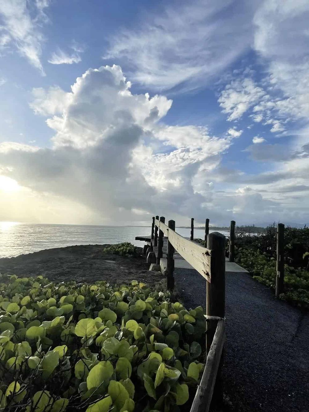 Serene coastal walkway leading to the ocean with lush greenery and dramatic skies, perfect for seaside exploration and relaxation.