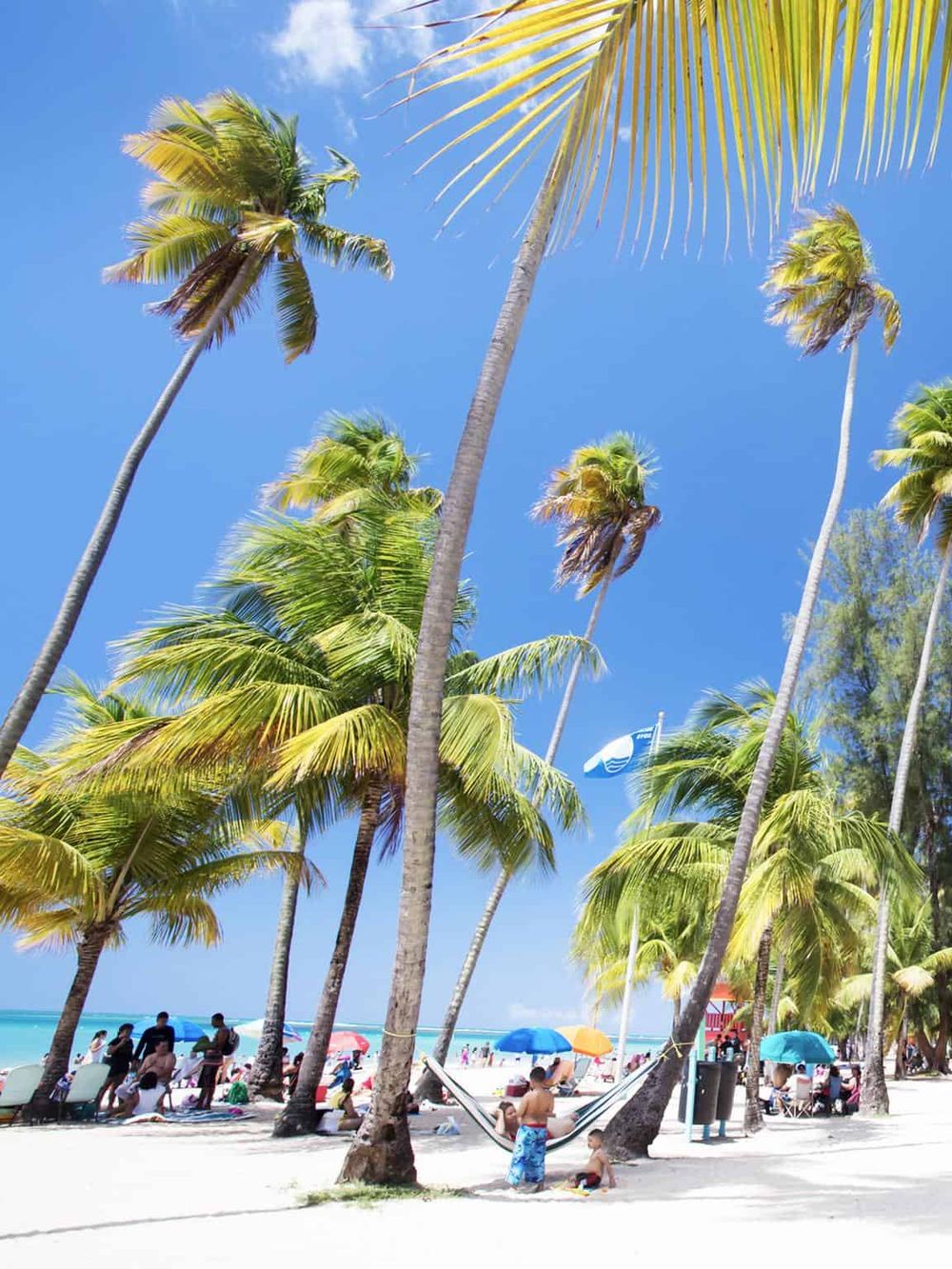 Relaxing tropical beach scene with palm trees, blue sky, and colorful umbrellas.